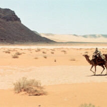 Lawrence of Arabia (50th Anniversary)